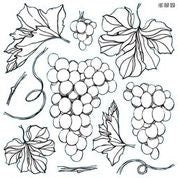 IOD Grapes Decor Stamp