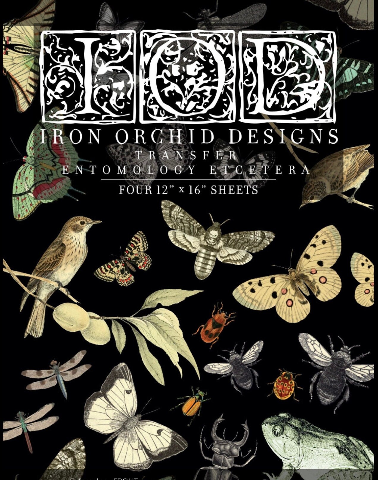 IOD Entomology Etcetera Rub On Transfer Sheet