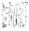 IOD Sprigs Decor Stamp