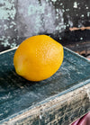 Faux Lemons (Pack of 6) Farmhouse Mantle & Wreath Decor Crafting Supply
