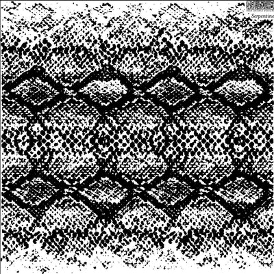 IOD Serpentine Decor Stamp