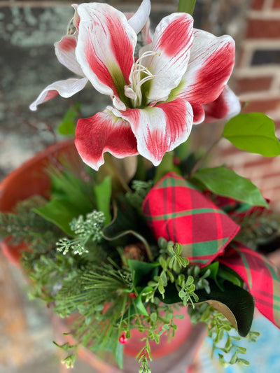 The Evette Red Amaryllis & Pine Christmas Centerpiece For Dining Table