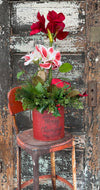 The Evette Red Amaryllis & Pine Christmas Centerpiece For Dining Table