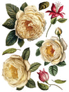 IOD Collage De Fleurs Rub On Transfer Sheet