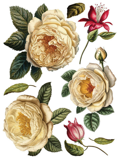 IOD Collage De Fleurs Rub On Transfer Sheet