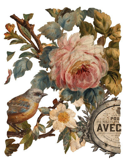 IOD Joie Des Roses Rub On Transfer Sheet
