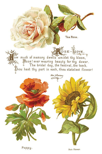 IOD Lover Of Flowers Rub On Transfer Sheet