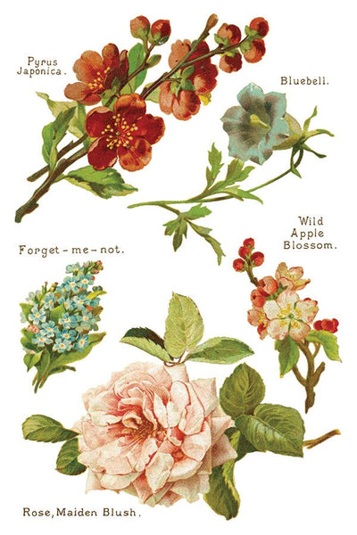 IOD Lover Of Flowers Rub On Transfer Sheet