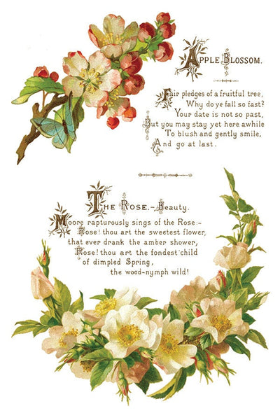 IOD Lover Of Flowers Rub On Transfer Sheet