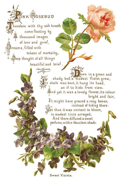 IOD Lover Of Flowers Rub On Transfer Sheet