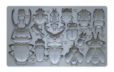 IOD Specimens Decor Mould