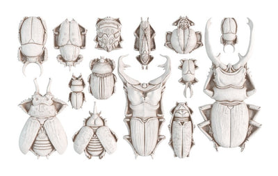 IOD Specimens Decor Mould