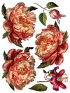 IOD Collage De Fleurs Rub On Transfer Sheet