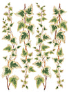 IOD Collage De Fleurs Rub On Transfer Sheet