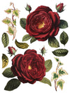 IOD Collage De Fleurs Rub On Transfer Sheet