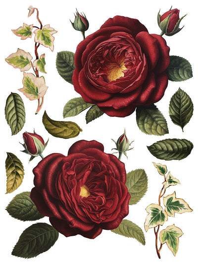IOD Collage De Fleurs Rub On Transfer Sheet