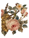 IOD Joie Des Roses Rub On Transfer Sheet