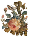 IOD Joie Des Roses Rub On Transfer Sheet