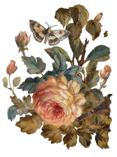 IOD Joie Des Roses Rub On Transfer Sheet