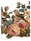 IOD Joie Des Roses Rub On Transfer Sheet
