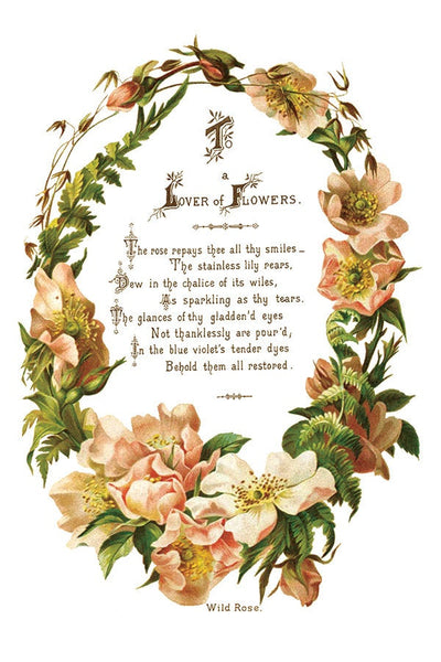 IOD Lover Of Flowers Rub On Transfer Sheet