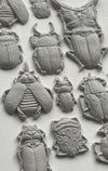 IOD Specimens Decor Mould