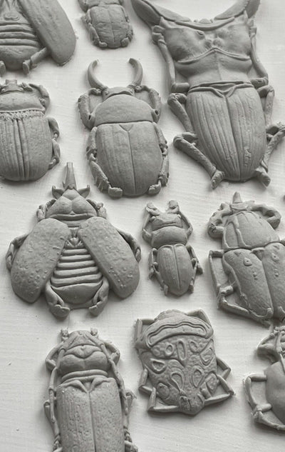 IOD Specimens Decor Mould