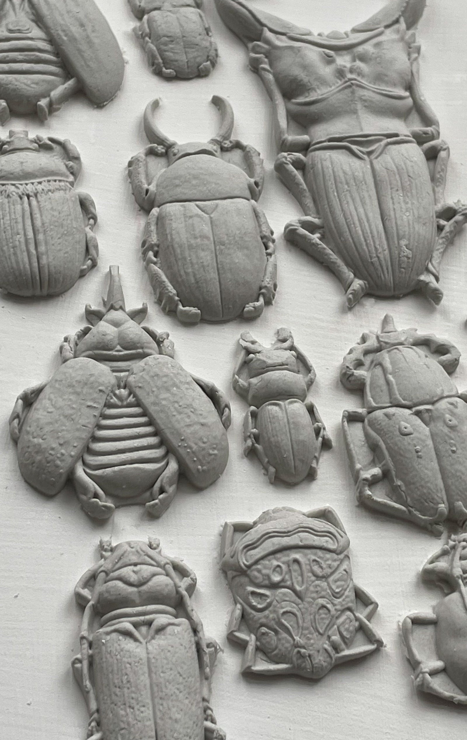 IOD Specimens Decor Mould