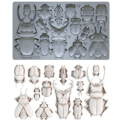 IOD Specimens Decor Mould