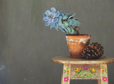 IOD Vida Flora Inlay Sheet