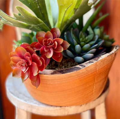 The Kiera Succulent Centerpiece For Dining Table