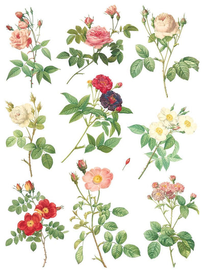IOD Rose Botanical Rub On Transfer Sheet