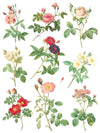 IOD Rose Botanical Rub On Transfer Sheet