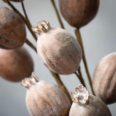 Dried Look Poppy Pod Spray