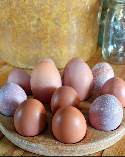 Handmade Wood Egg Holder Trivet