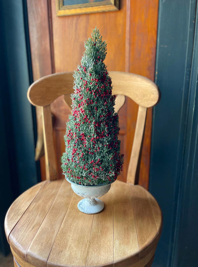 Artificial Mini Juniper Potted Tree - The Kara