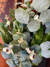 Artificial Eucalyptus Pod & Cedar Spray