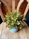 Harvest Half Sphere Eucalyptus & Berry, farmhouse mantle decor, Fall greenery sphere urn filler, wreath making supply, Craft supply