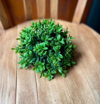 New England Boxwood Half Sphere