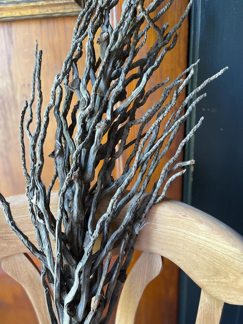 Dried coconut palm branch