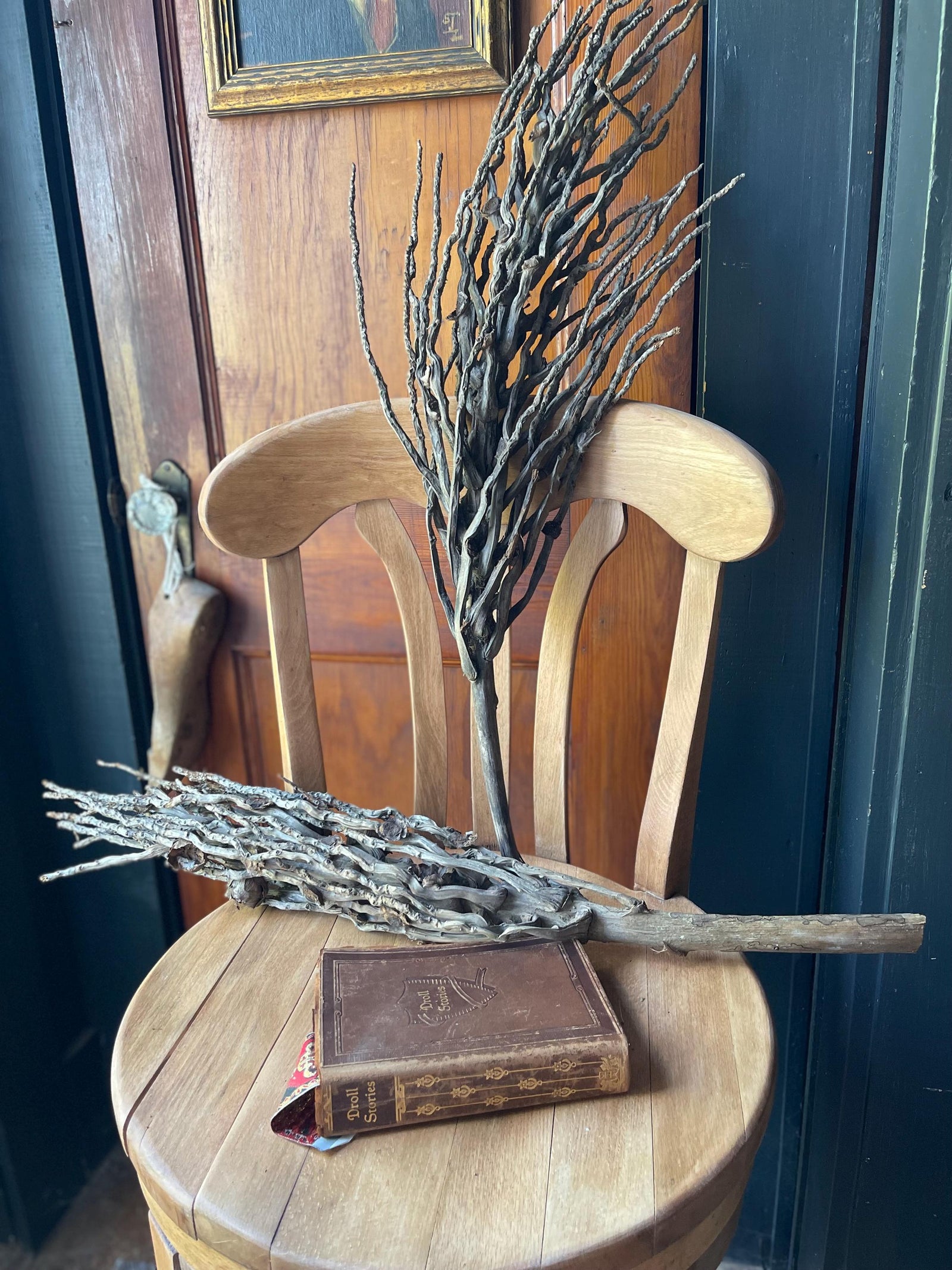 Dried coconut palm branch