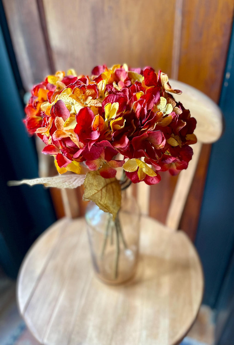 Burgundy Gold Hydrangea Stem