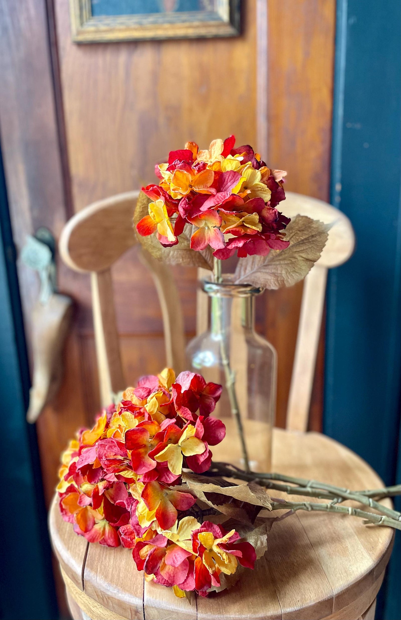 Burgundy Gold Hydrangea Stem