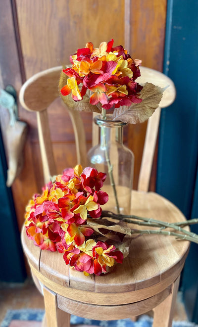 Burgundy Gold Hydrangea Stem
