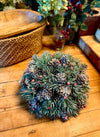 Frosted Pine Berry Half Sphere