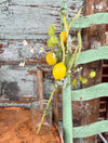 Artificial Lemon Spray
