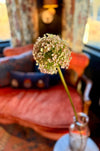 Faux Giant Allium Stem