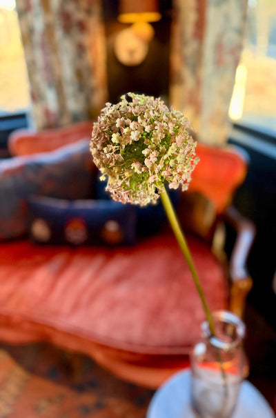 Faux Giant Allium Stem