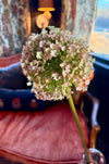 Faux Giant Allium Stem