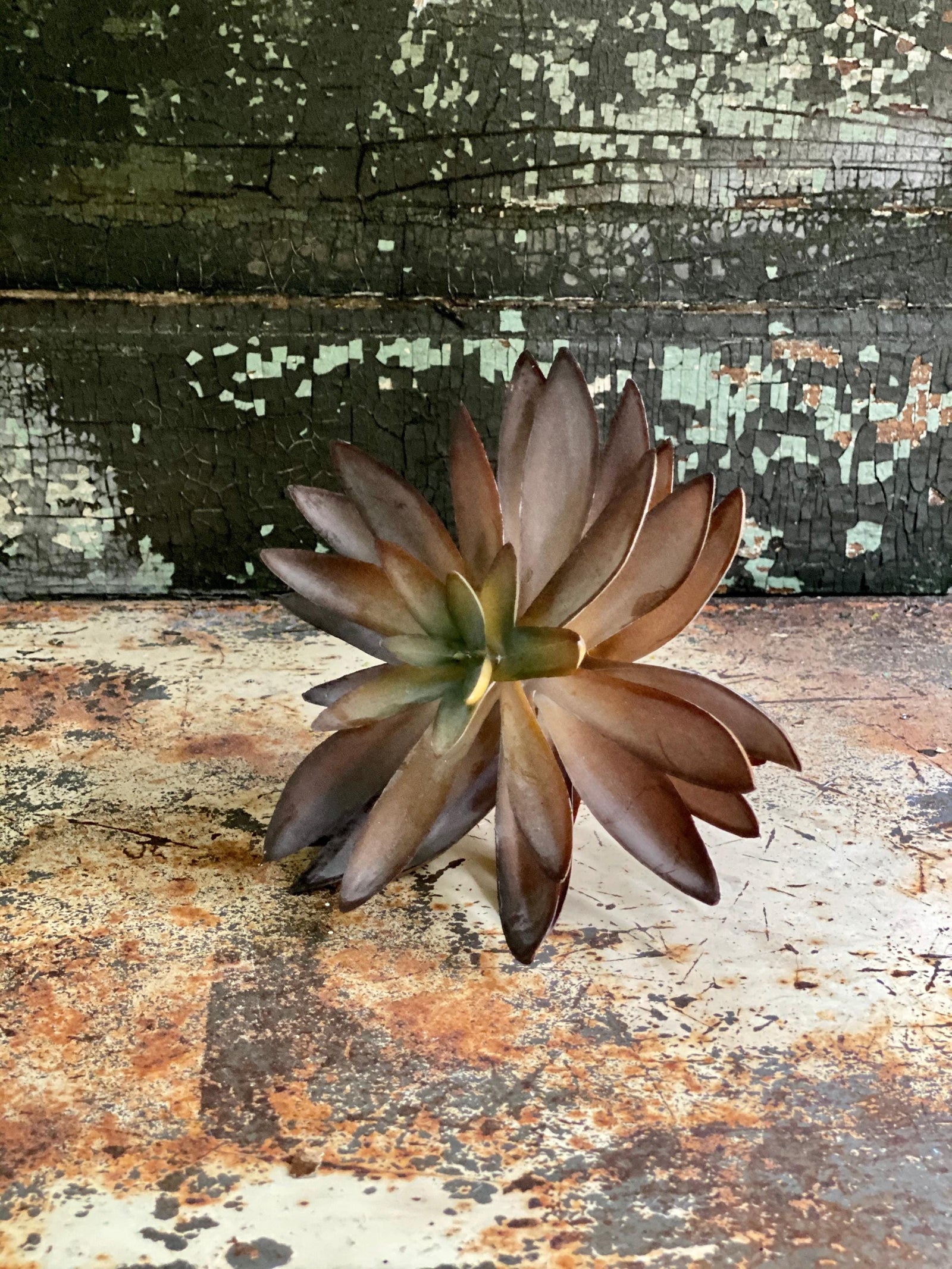 Faux Medium Brown/Green Succulent